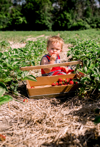 baby sitting in the middle of the fields